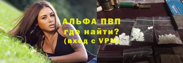 индика Белокуриха