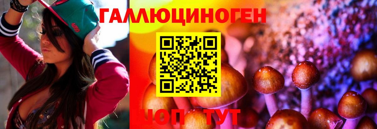 Галлюциногенные грибы Psilocybe  Вход с VPN  Спасск-Дальний  Галлюциногенные грибы MAGIC MUSHROOMS 